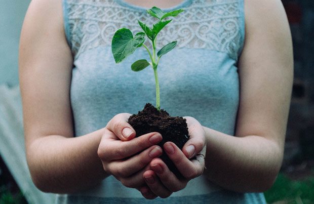 Why Even the Keenest Gardeners Are Turning to Artificial Grass A Mum Reviews