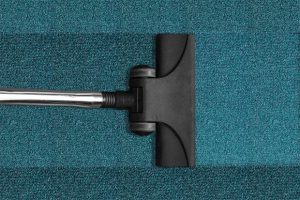 Why You Really Need a Good Vacuum Cleaner if You Have Pets A Mum Reviews