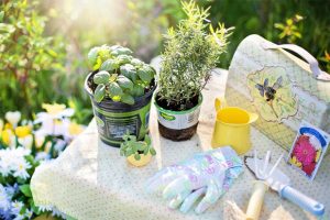 Gift Ideas for Grandmas This Mother’s Day A Mum Reviews