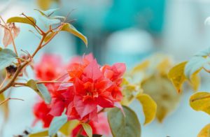 How To Set Yourself Up With A Garden You Can Really Enjoy This Summer A Mum Reviews