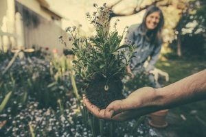 How To Set Yourself Up With A Garden You Can Really Enjoy This Summer A Mum Reviews