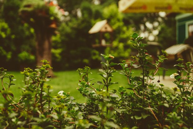 How To Set Yourself Up With A Garden You Can Really Enjoy This Summer A Mum Reviews