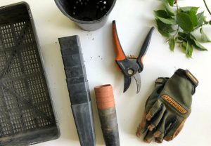 How To Set Yourself Up With A Garden You Can Really Enjoy This Summer A Mum Reviews
