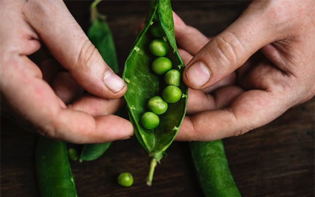 Why You Should Consider Growing Your Own Food A Mum Reviews