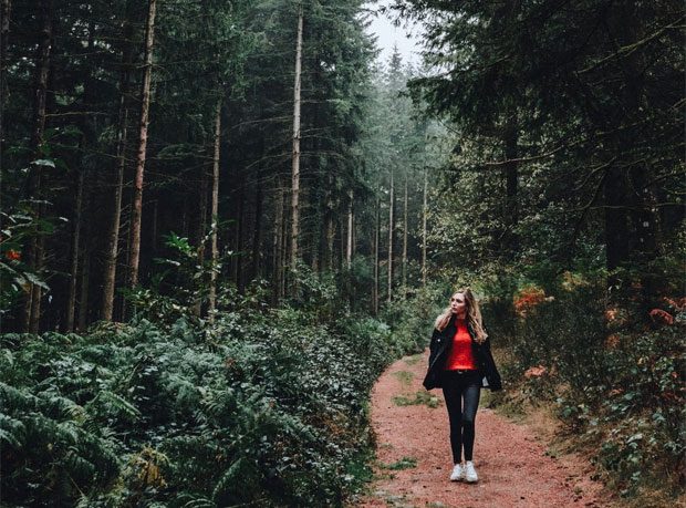 Forest Bathing A Mum Reviews