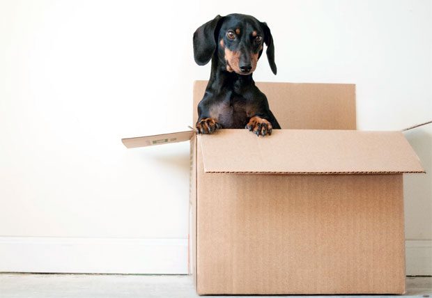 4 Moving Mistakes To Avoid At All Costs A Mum Reviews