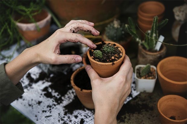 5 Tips for Making Gardening Easier A Mum Reviews