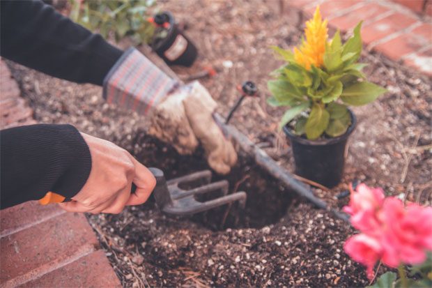 5 Easy Ways to Maintain Your Garden A Mum Reviews