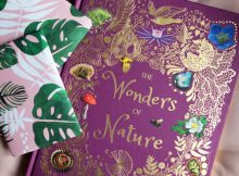 Book Review: The Wonders of Nature by Ben Hoare A Mum Reviews