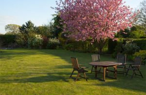 Low Maintenance Garden Tips A Mum Reviews