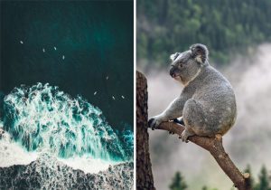 Things to Remember When you’re Travelling to Australia A Mum Reviews