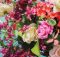 6 Most Beneficial Flowers To Your Well-Being A Mum Reviews