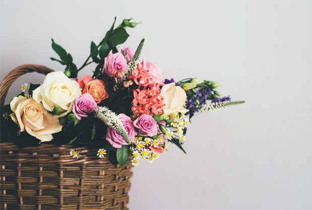 6 Most Beneficial Flowers To Your Well-Being A Mum Reviews