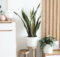 2020 Interior Design & Home Trends that Celebrate Nature A Mum Reviews