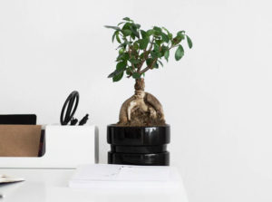 Organising Your Home Ready For Spring: The Tips To Help You Do It A Mum Reviews