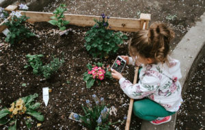 How To Design a Kid-Friendly Garden A Mum Reviews