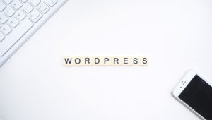 Top 5 Custom Fonts WordPress Plugins for WordPress Sites A Mum Reviews