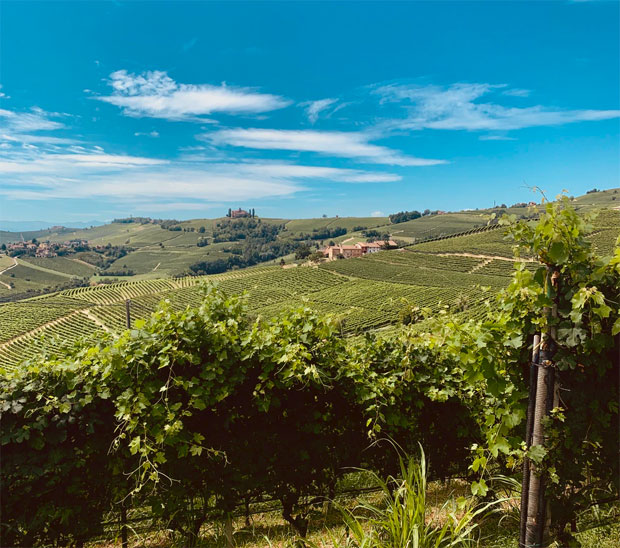 Wine Tasting Getaways in Piedmont | Barolo & Barbera Wines A Mum Reviews