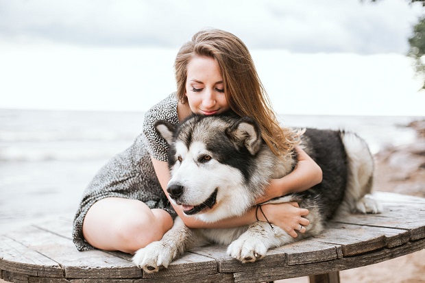 The Pros and Cons of Owning a Large Family Dog A Mum Reviews
