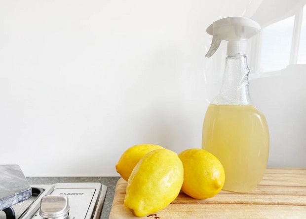 Lemon Vinegar Cleaning