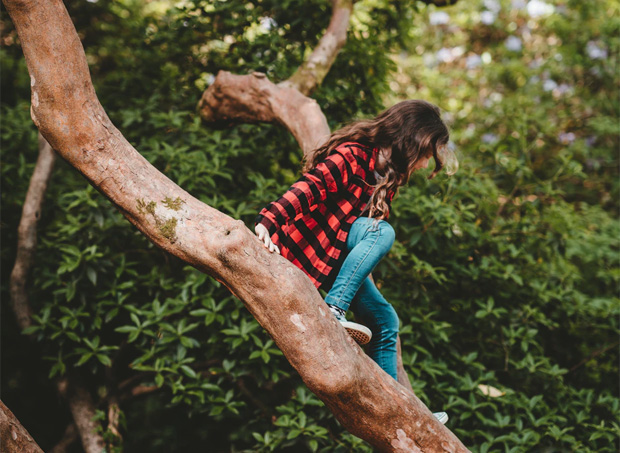 Climbing Trees