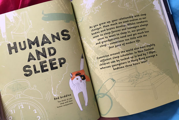 Humans and sleep