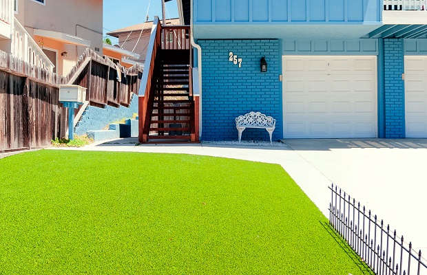 Artificial Grass