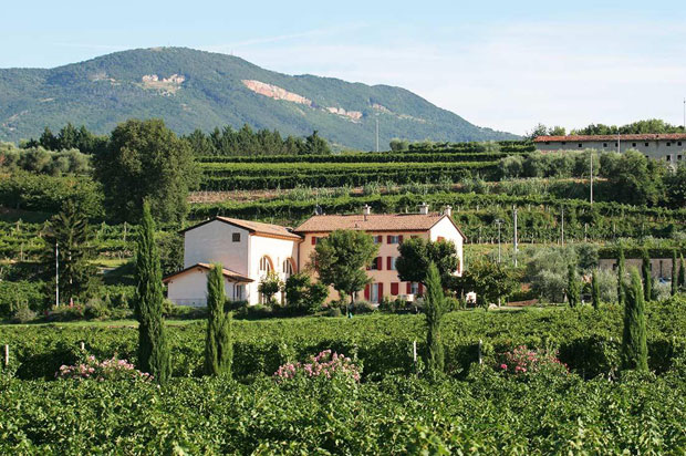 The-winery-of-Rubinelli-Vajol-in-San-Pietro-in-Cariano,-Valpolicella-Classico