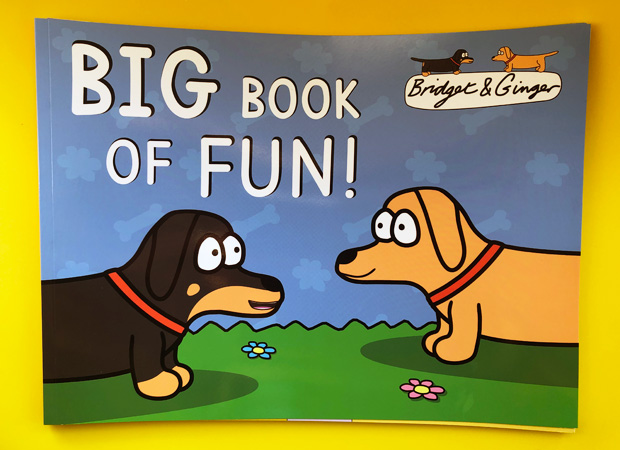 Bridget & Ginger Big Book of Fun and Soft Toys Review