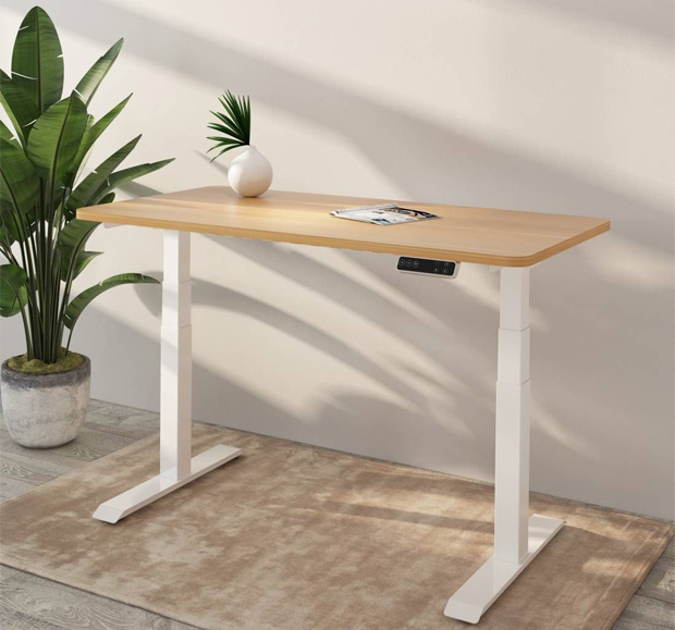 FlexiSpot Adjustable Standing Desk Pro Review