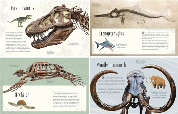 Dinosaurs and Other Prehistoric Life