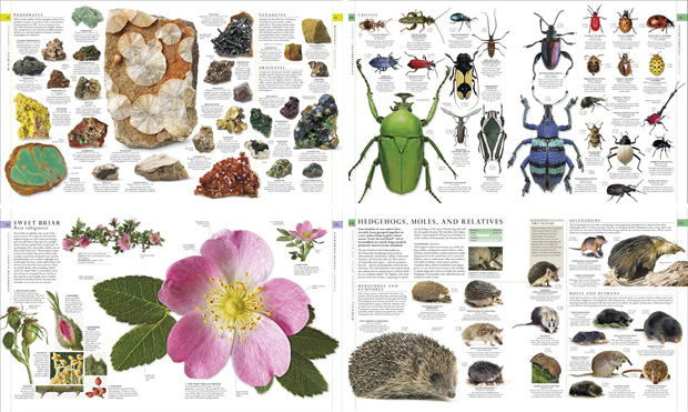 Natural History Book