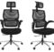 FlexiSpot Flexi-Chair BackSupport Office Chair BS1B Review