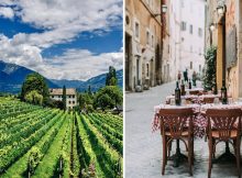 The Wine Tradition in Italy