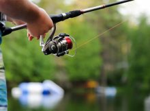 How To Fish With Crickets - Best Tips And Tricks You Must Know