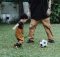 6 Great Ways To Get Your Child Into Playing Sports