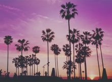 Top Tips On How To Make Your Trip To LA Unforgettable A Mum Reviews