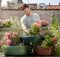 8 Tips for Creating a Sustainable Garden
