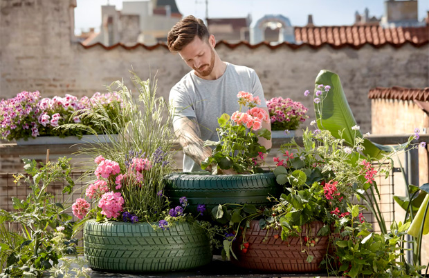8 Tips for Creating a Sustainable Garden