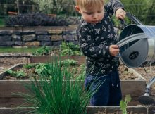 Garden Ideas For Kids A Mum Reviews
