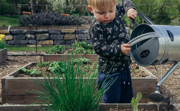 Garden Ideas For Kids A Mum Reviews