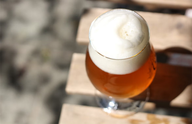 The Beginner's Guide to Beer