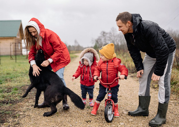 Why Dogs Make The Perfect Addition To Any Family A Mum Reviews