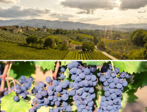 Meet Italy’s Most Tannic Wine – Montefalco Sagrantino A Mum Reviews