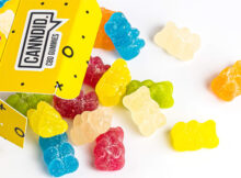 A Buyer’s Guide to CBD Gummies in the UK
