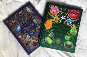 Brilliant Books for Christmas - A Book Gift Guide