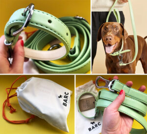 Vegan Leather Green Dog Collar & Lead Set from Barc London