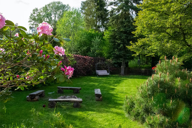 Top Tips For Enjoying Your Garden Year Round