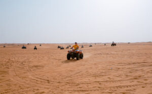 All You Need to Know about Desert Safari in Dubai