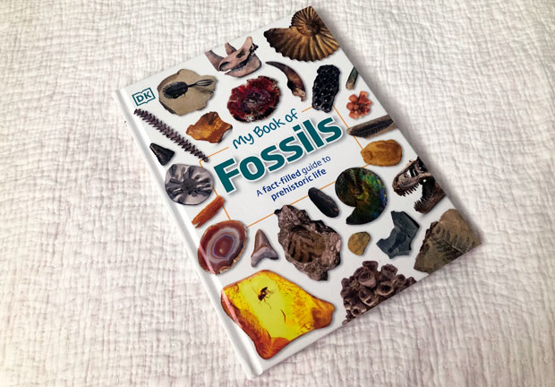 DK Books My Book of Fossils Review A Mum Reviews